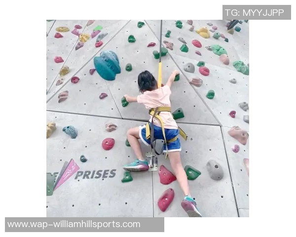 实时新闻上海攀岩队技术对比深度解析与训练方法探讨